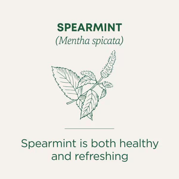 Traditional Medicinals, Organic Spearmint, Caffeine Free, 16 Wrapped Tea Bags, 0.85 oz (24 g)