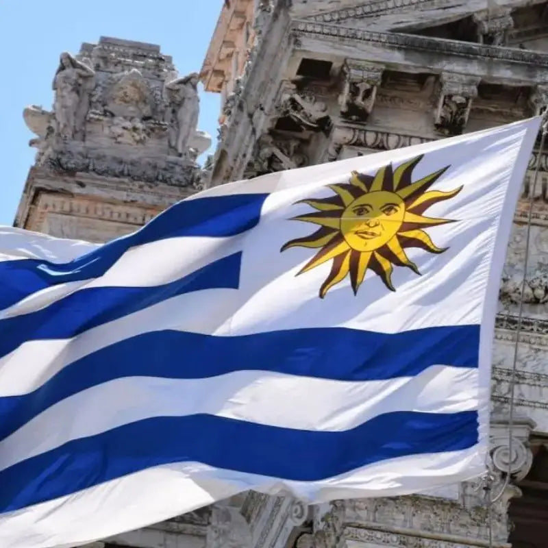 90x150cm Uruguay Flag URY UY National Bunting Durable Material for Home Garden