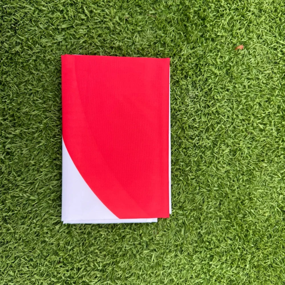 Japan Flag 150x90cm Large 3x5 FT Japanese National Flag Polyester Double Stitched Outdoor Indoor Decoration