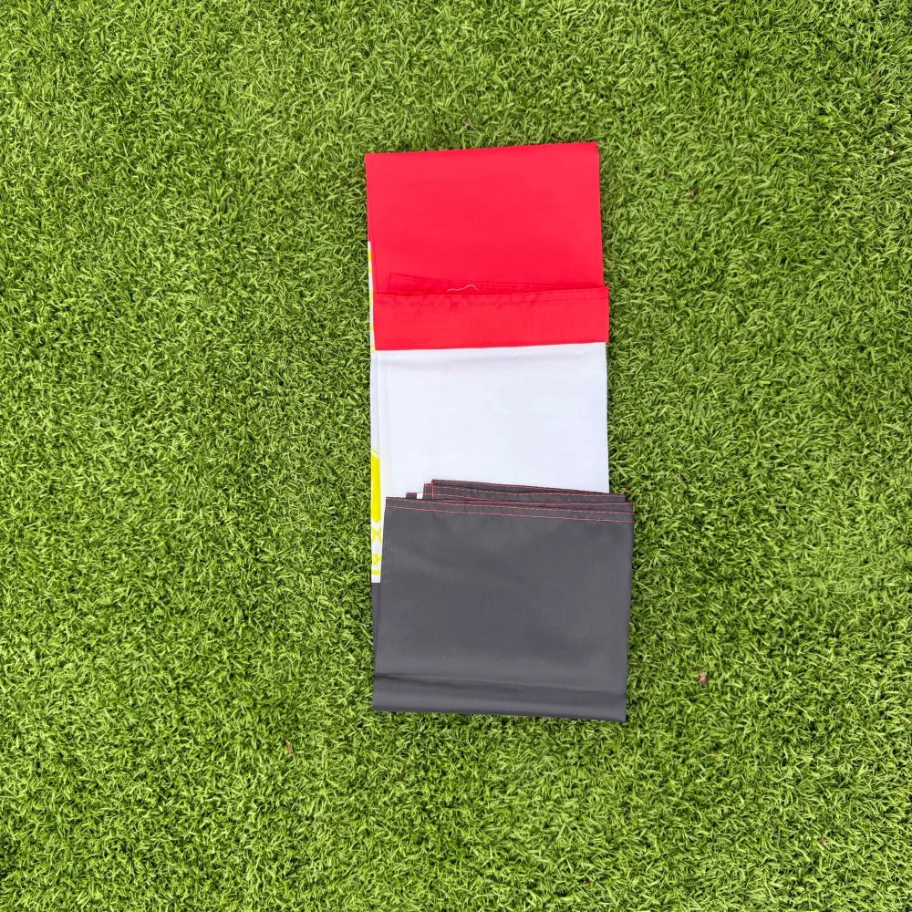 Egypt Flag 150x90cm Large 3x5 FT Egyptian National Flag with Eagle Emblem Polyester Double Stitched Outdoor Indoor Decoration