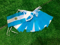 Argentina Bunting Flag Banner Set – 20PCS Polyester Pennant Flags (14×21cm) | String Garland Decoration for Festival, Party & Events